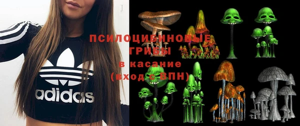 метадон Гусиноозёрск